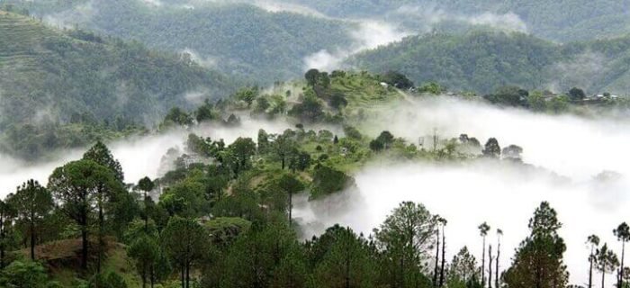 India Tour Packages India Tour Packages