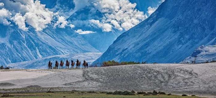 Ladakh Nubra Valley