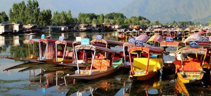 Srinagar5432 Srinagar